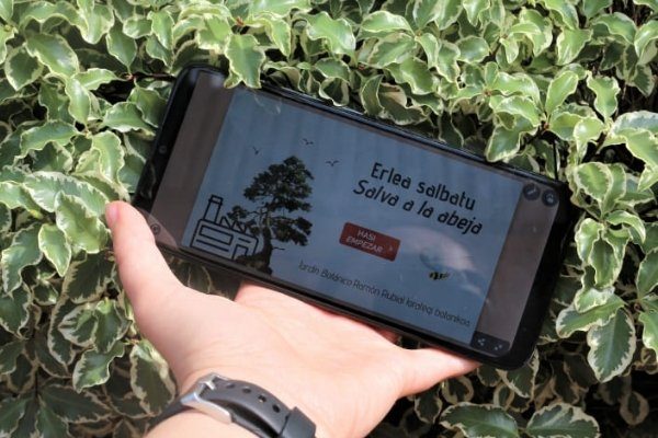 003-Escape Room Salva a la abeja