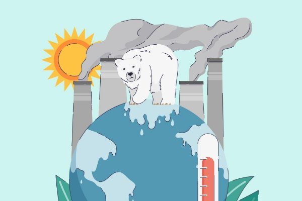 009-ASTEKLI-23 Errenteria JARDUERA 2