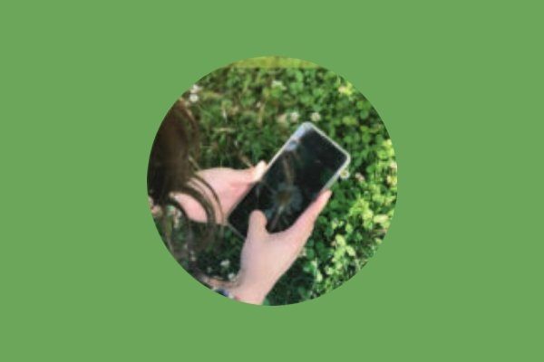 015- SOPELAKOSTAFEST-BIOBLITZ