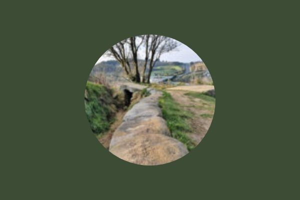 018-SOPELAKOSTAFEST-VISITA GUIADA AL CINTURÓN DE HIERRO