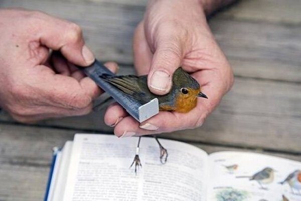 025-ASTEKLI-23-Asparrena-2