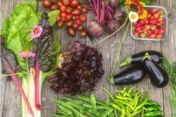 030- ASTEKLI-23 MARURI-JATABEKO UDALA ACTIVIDAD 2