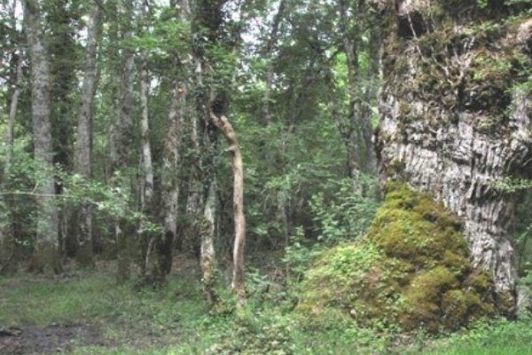 032-ASTEKLI-23 AYUNTAMIENTO DE SAN MILLAN ACTIVIDAD 1