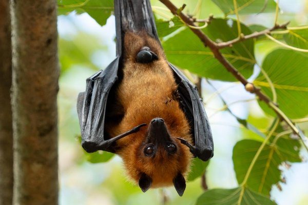 037-ASTEKLI-23 MUTILAKO UDALA ACT 2