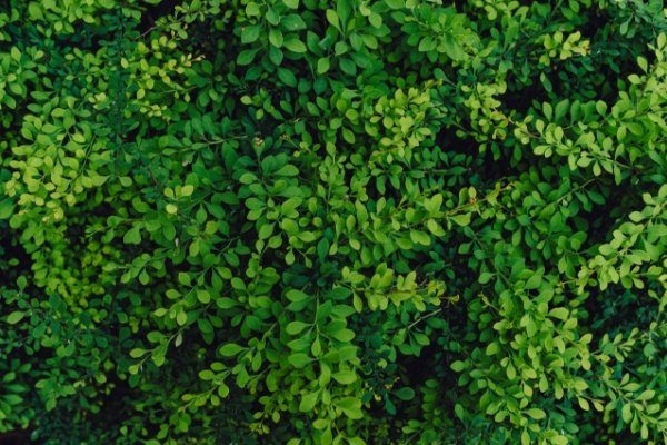 042-ASTEKLI-23 UROLA GARAIKO GARAPENERAKO AGENTZIA SA actividad 4