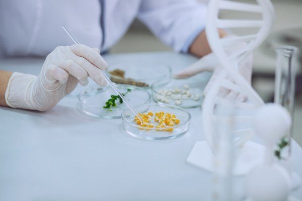 056-ASTEKLI-23 Sagardun Partzuegoa ACT 2