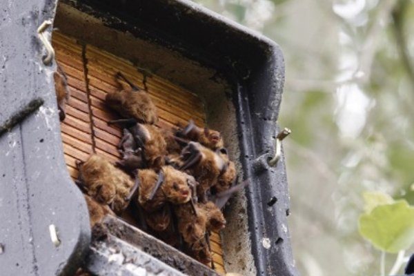 062-ASTEKLI-23 Olaberria act 2