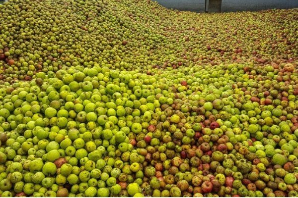 065-ASTEKLI-23 Alkiza ACT 1