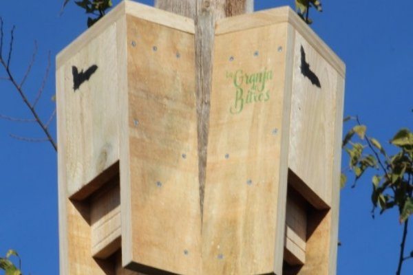 065-ASTEKLI-23 Alkiza ACT 2