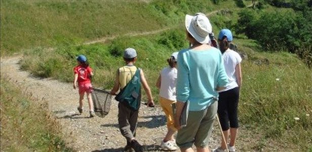 Itinerario-Mariposas