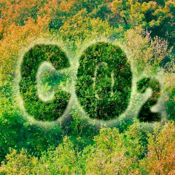 MEATZALDEATallerCienciaCO2