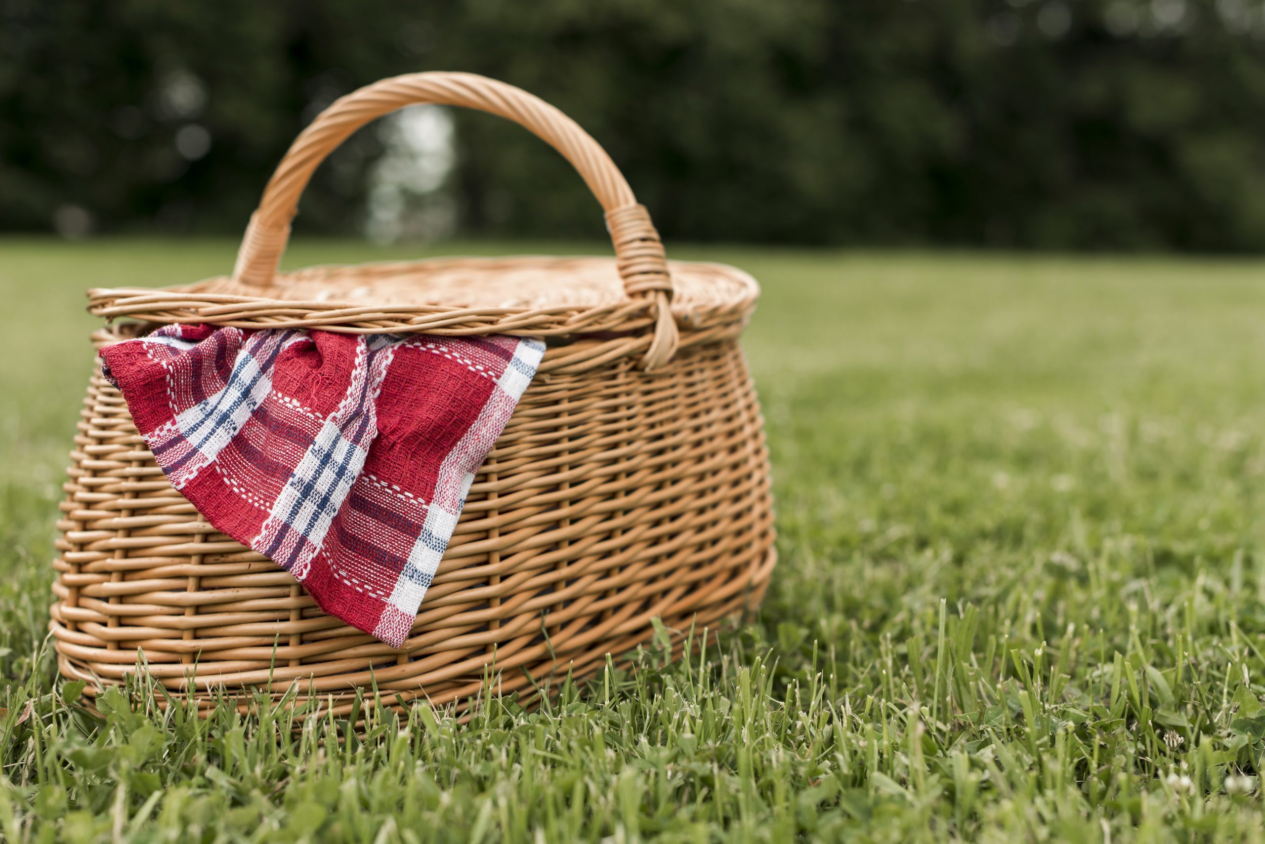 picnic-basket-on-park-grass